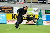 Ares vom Rabenhorst