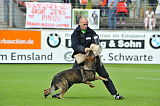 Eyk vom Silvano