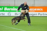 Eyk vom Silvano