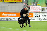 Arek von Pentavita