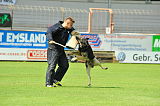 Hancook von der Hundshardt