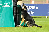 Hancook von der Hundshardt