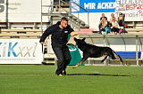 Zorro von der Mordschau