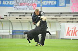 B'dog vom Eichbaum