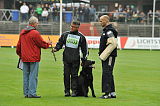 B'dog vom Eichbaum