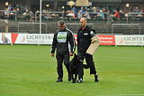 B'dog vom Eichbaum