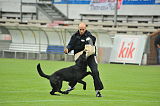 B'dog vom Eichbaum
