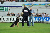 Gun vom Dreisbachtal