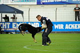Cidman vom Wolfsdreieck