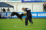 Cidman vom Wolfsdreieck