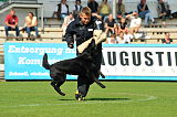 Eik von Lohmanns Heide