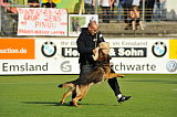 Zico von der kleinen Birke