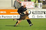Zico von der kleinen Birke
