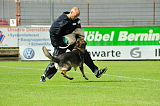 Nork von der Donauvorstadt
