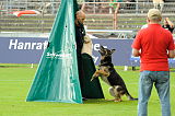 Barack vom Niederbayernblick