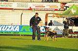 Om vom Steinbusch