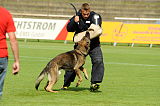 Gerry vom Weißeritztal