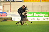 Henrik vom Wolfsheim