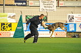 Henrik vom Wolfsheim