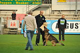 Henrik vom Wolfsheim