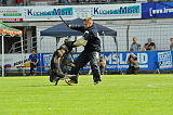Chicco von Herrenhaus Werder