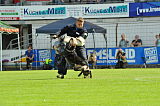 Chicco von Herrenhaus Werder