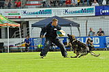 Chicco von Herrenhaus Werder