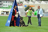 K-Lee vom Schopperweg