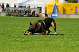 H Reggie von Haus Juros