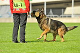 H Reggie von Haus Juros
