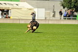 H Reggie von Haus Juros