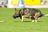 Ike vom Klinkert