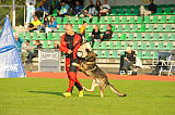 Arko de Marchamalo