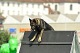 Skusterhusets Karlo