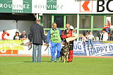 Basco vom wilden Klee