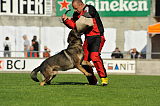 Basco vom wilden Klee