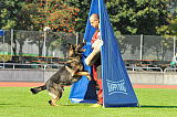 Basco vom wilden Klee