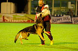 Taxi Vikar