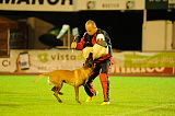 Anton'lu Mavi Boncuk