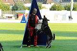 Amon von der Mohnwiese