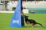 Ivor vom Pacific