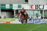 Boyd's Bullriding Glenmore