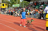 Siegerehrung, Victory Ceremony