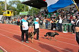 Siegerehrung, Victory Ceremony