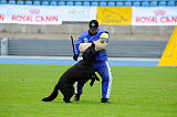 Checker vom Speedteam Bodensee