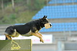 Extreme Orex Aykmar
