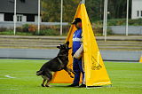 Basco vom wilden Klee