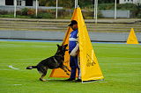 Basco vom wilden Klee