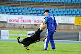 Airwolf Asko