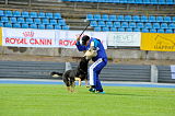 Airwolf Asko